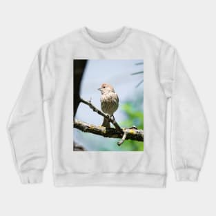 House Finch Profile Crewneck Sweatshirt